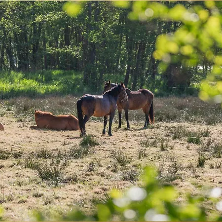 Village 9  My Second * Benz (Usedom)